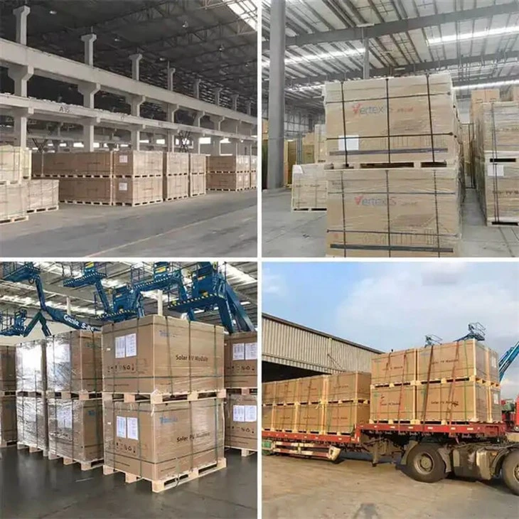 Pv Module Bifacial packaging